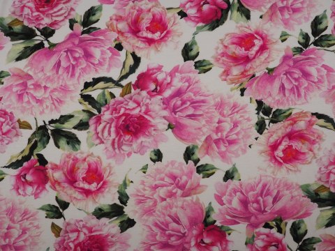 Dzianina wiskozowa - Różowe peonie na bieli Dzianina wiskozowa - Różowe peonie na bieli