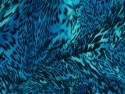 Jedwab - Niebieska pantera Jedwab - Niebieska pantera